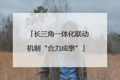 长三角一体化联动机制“合力成拳”