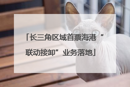 长三角区域首票海港“联动接卸”业务落地