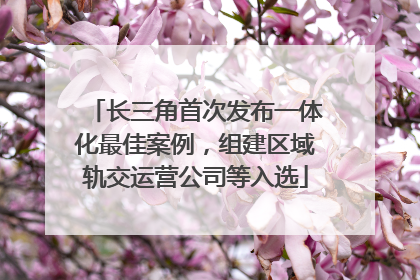 长三角首次发布一体化最佳案例，组建区域轨交运营公司等入选
