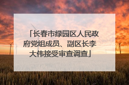 长春市绿园区人民政府党组成员、副区长李大伟接受审查调查
