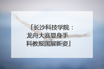 长沙科技学院：龙舟大赛显身手 科教报国展新姿