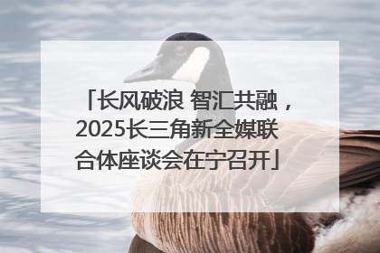 长风破浪 智汇共融，2025长三角新全媒联合体座谈会在宁召开