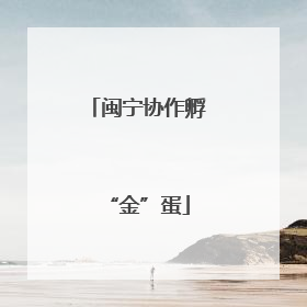 闽宁协作孵“金”蛋