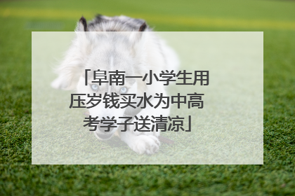 阜南一小学生用压岁钱买水为中高考学子送清凉