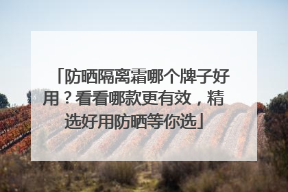 防晒隔离霜哪个牌子好用？看看哪款更有效，精选好用防晒等你选