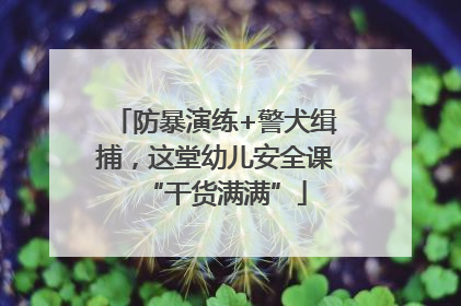 防暴演练+警犬缉捕，这堂幼儿安全课“干货满满”