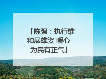 陈强：执行维和展雄姿 暖心为民有正气