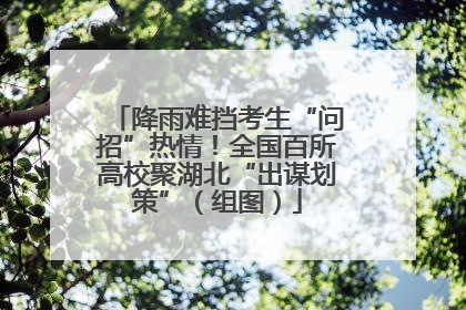 降雨难挡考生“问招”热情！全国百所高校聚湖北“出谋划策”（组图）