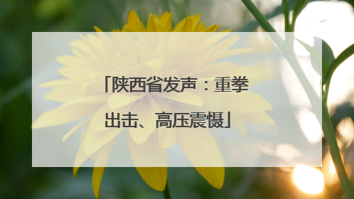 陕西省发声：重拳出击、高压震慑