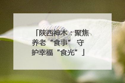 陕西神木：聚焦养老“食事” 守护幸福“食光”