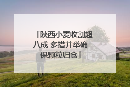 陕西小麦收割超八成 多措并举确保颗粒归仓