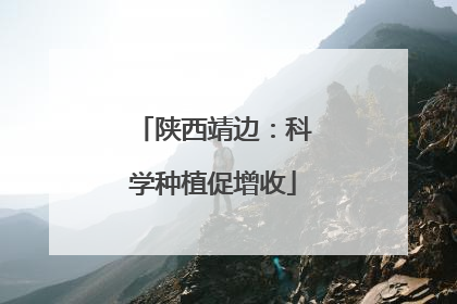 陕西靖边：科学种植促增收