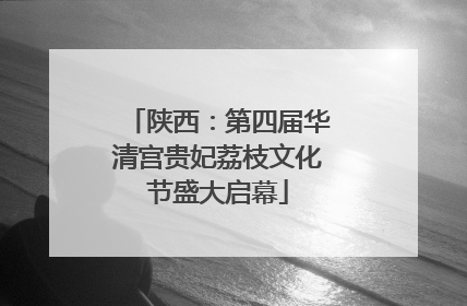 陕西：第四届华清宫贵妃荔枝文化节盛大启幕