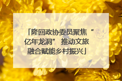 隆回政协委员聚焦“亿年龙洞” 推动文旅融合赋能乡村振兴