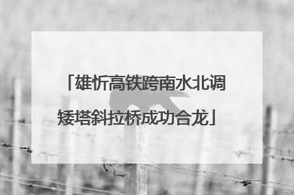 雄忻高铁跨南水北调矮塔斜拉桥成功合龙