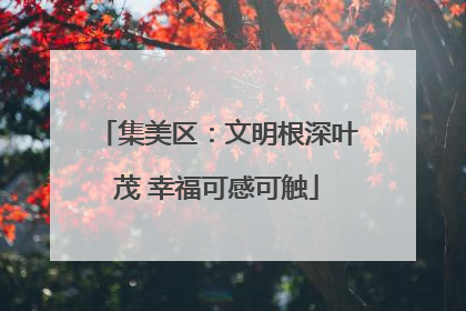 集美区：文明根深叶茂 幸福可感可触