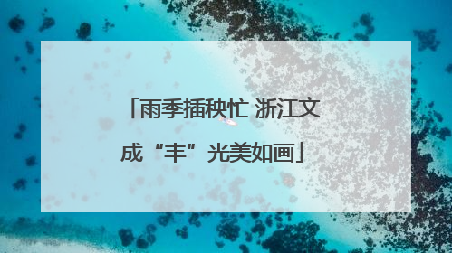 雨季插秧忙 浙江文成“丰”光美如画