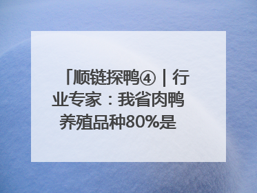 顺链探鸭④｜行业专家：我省肉鸭养殖品种80%是樱桃谷鸭