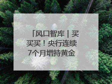 风口智库｜买买买！央行连续7个月增持黄金，专家：金价或仍易涨难跌