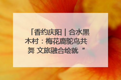 香约庆阳｜合水黑木村：梅花鹿鸵鸟共舞 文旅融合绘就“诗与远方”