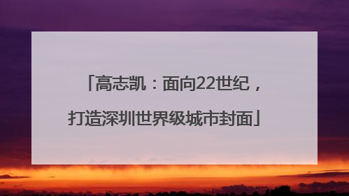 高志凯：面向22世纪，打造深圳世界级城市封面