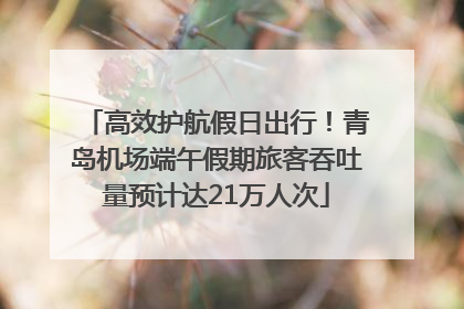高效护航假日出行！青岛机场端午假期旅客吞吐量预计达21万人次