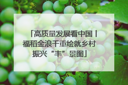 高质量发展看中国丨福稻金浪千重绘就乡村振兴“丰”景图