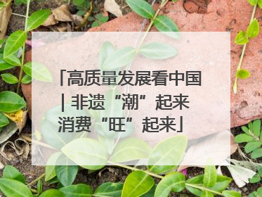 高质量发展看中国｜非遗“潮”起来 消费“旺”起来