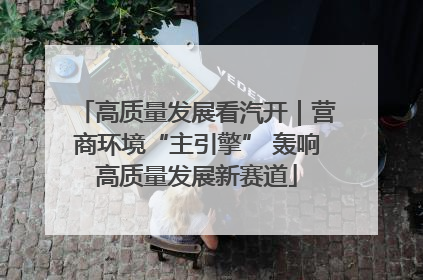 高质量发展看汽开｜营商环境“主引擎” 轰响高质量发展新赛道