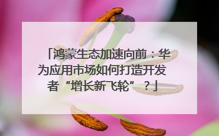 鸿蒙生态加速向前：华为应用市场如何打造开发者“增长新飞轮”？