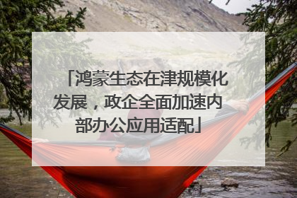 鸿蒙生态在津规模化发展，政企全面加速内部办公应用适配