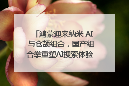 鸿蒙迎来纳米 AI 与仓颉组合，国产组合拳重塑AI搜索体验｜新经济观察