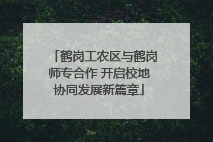 鹤岗工农区与鹤岗师专合作 开启校地协同发展新篇章