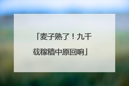 麦子熟了！九千载稼穑中原回响