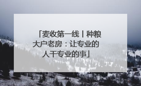 麦收第一线丨种粮大户老房：让专业的人干专业的事