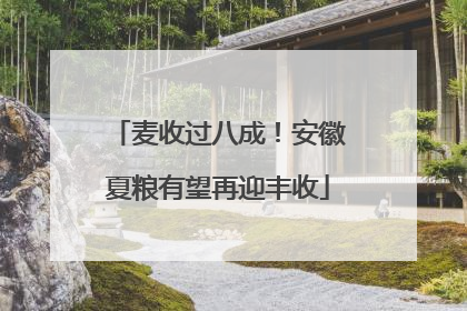 麦收过八成！安徽夏粮有望再迎丰收