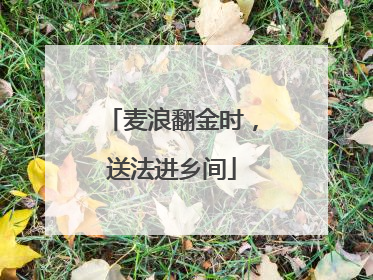 麦浪翻金时，送法进乡间
