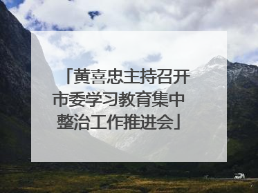 黄喜忠主持召开市委学习教育集中整治工作推进会
