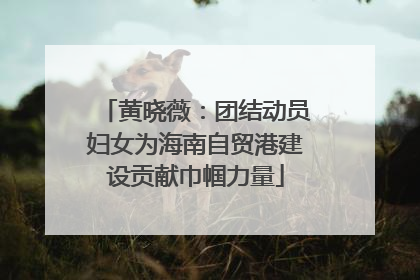 黄晓薇：团结动员妇女为海南自贸港建设贡献巾帼力量