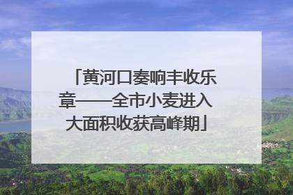 黄河口奏响丰收乐章——全市小麦进入大面积收获高峰期