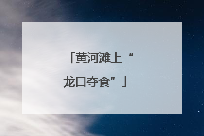 黄河滩上“龙口夺食”