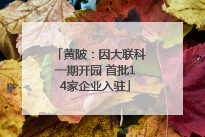 黄陂：因大联科一期开园 首批14家企业入驻