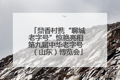 鼎香村携“聊城老字号”惊艳亮相第九届中华老字号（山东）博览会