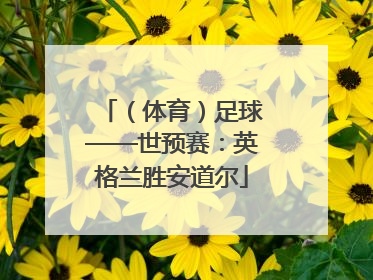（体育）足球——世预赛：英格兰胜安道尔