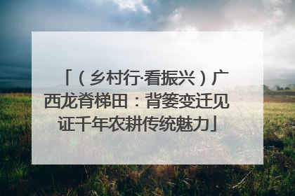 （乡村行·看振兴）广西龙脊梯田：背篓变迁见证千年农耕传统魅力