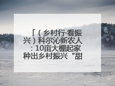 （乡村行·看振兴）科尔沁新农人：10亩大棚起家种出乡村振兴“甜蜜果”