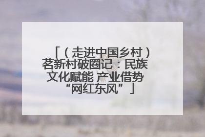 （走进中国乡村）茗新村破圈记：民族文化赋能 产业借势 “网红东风”