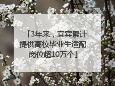 3年来，宜宾累计提供高校毕业生适配岗位超10万个