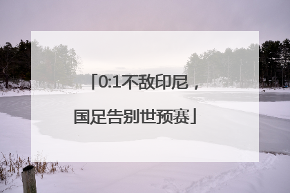 0:1不敌印尼，国足告别世预赛