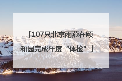 107只北京雨燕在颐和园完成年度“体检”